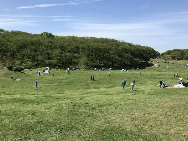 桜山遠景