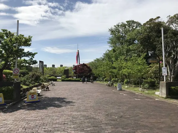 綺麗に整備された公園