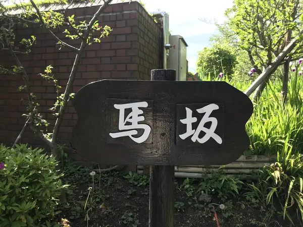 まんまなネーミング