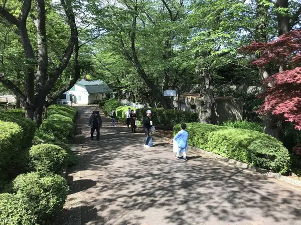馬坂ですw