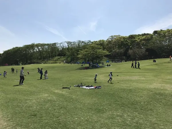シンボルツリーちっく其の壱