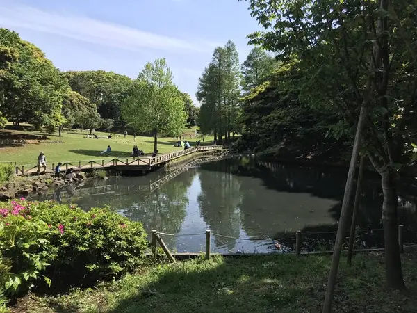 水は汚いですw