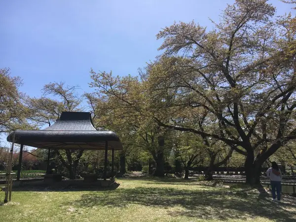 近くには庭園？が。