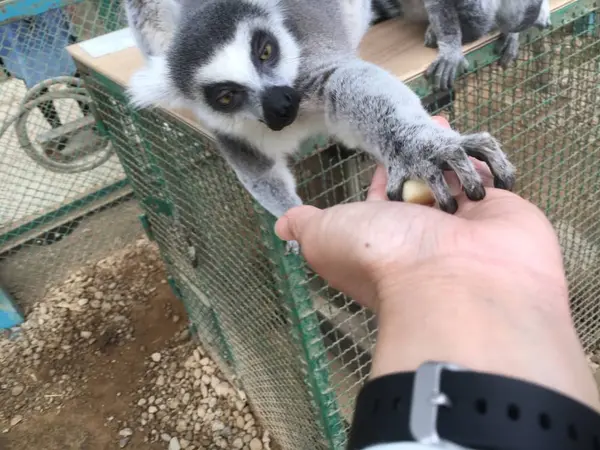 目が…