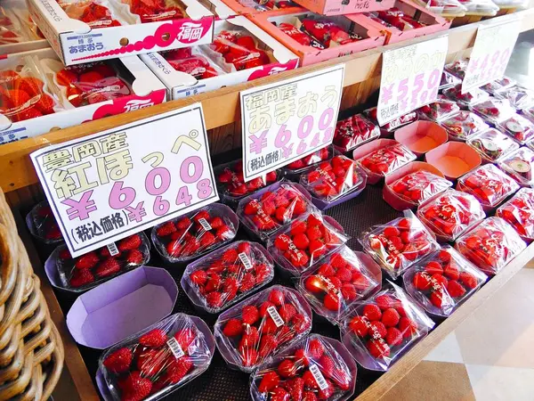 今はやっぱりいちごですねっ！