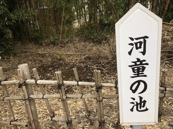河童の池