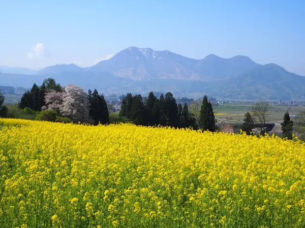 何より素朴な風景