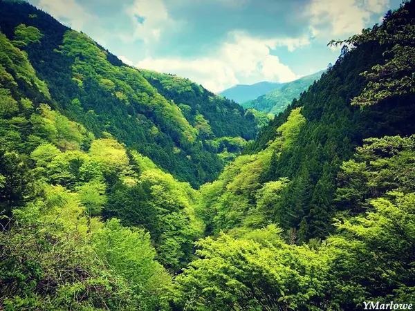 広がる絶景