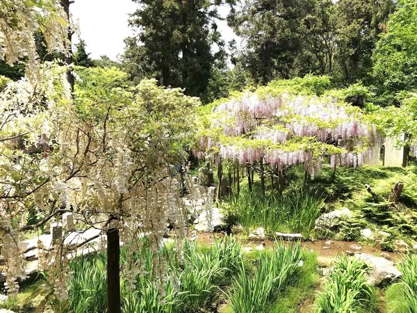 萬葉植物園