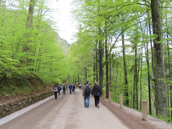 お城を散策した帰りはふもとまで徒歩で戻りました。下りは大丈夫ですが、上りで徒歩は少ししんどい。