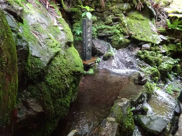 湧き水も飲める…！