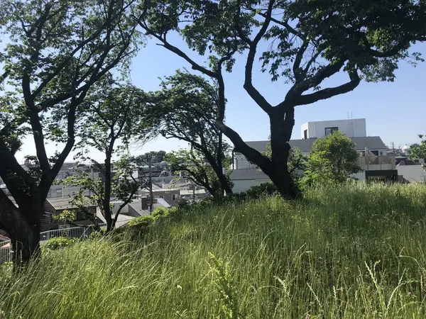 夜景もきれいでしょうね。