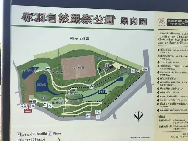 スポット内のおすすめ