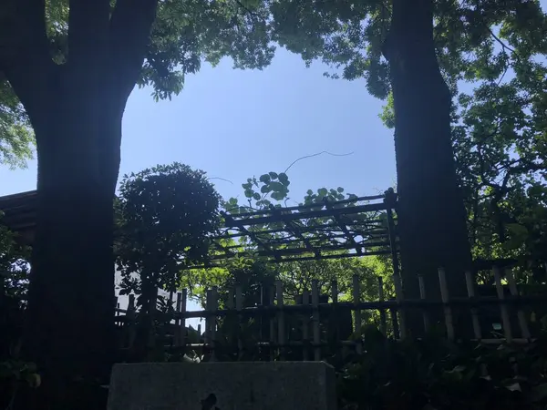 藤棚かな…