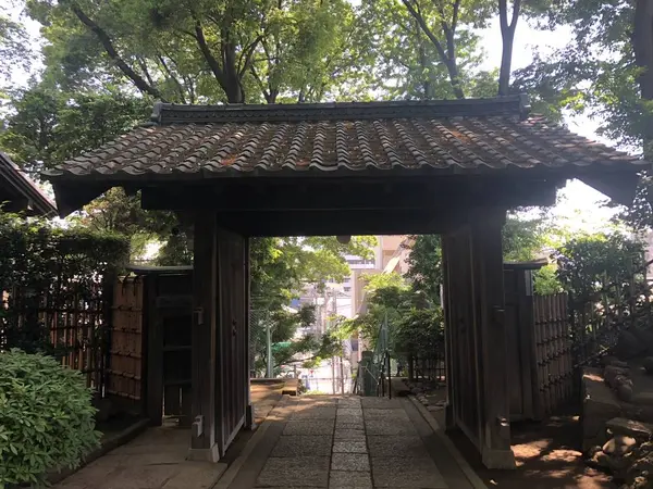 絶景。この向こうが来た時の階段