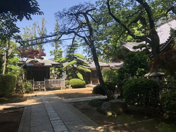 そろそろと進みます。