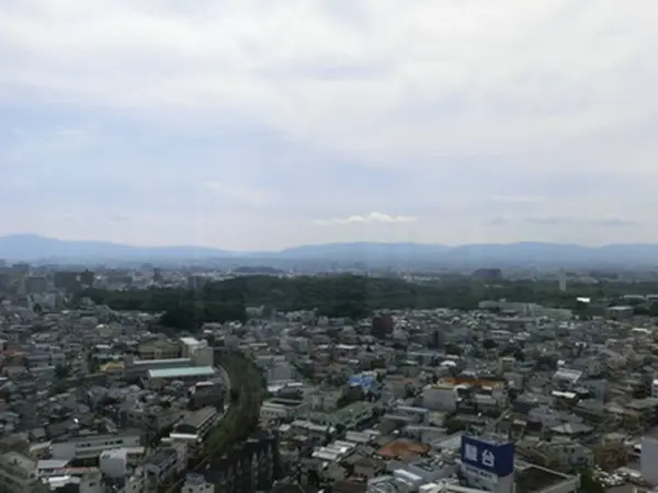 展示コーナー