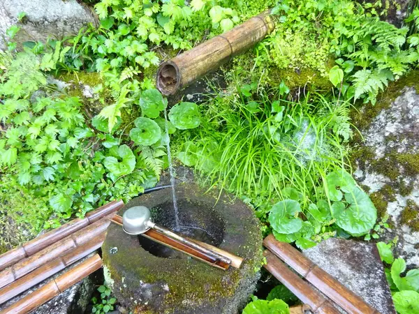 白山千蛇ヶ池の霊泉