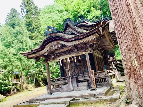 屋根に注目😳