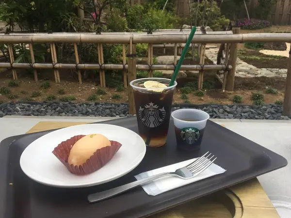 天候の良い日は日本庭園のような屋外のテラス席で。