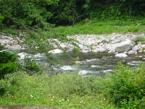 レストランから清流が…！