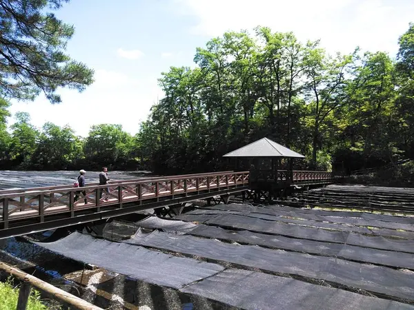 幸いのかけ橋