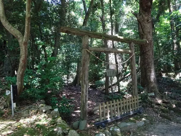 聖域、「入らずの森」