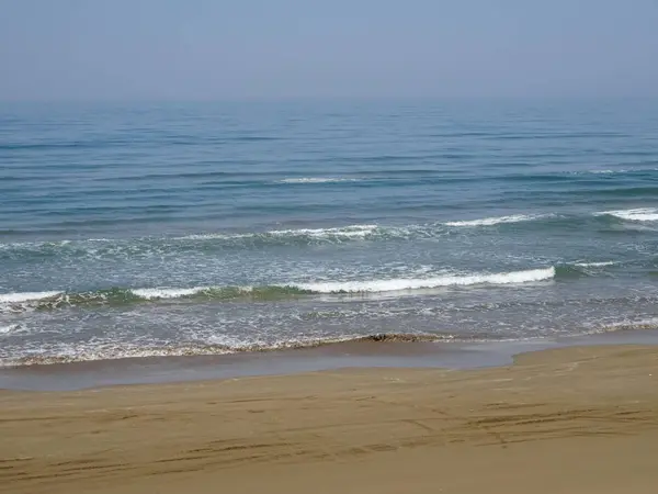 砂浜をドライブ