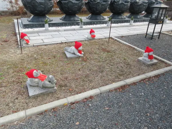 楽しみ方もいろいろ