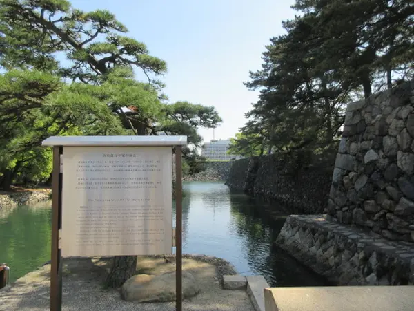 水府流水任游泳術