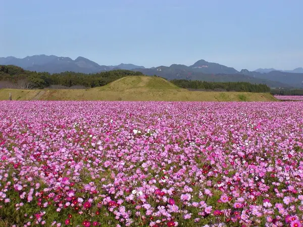 【10月〜11月】西都原古墳群