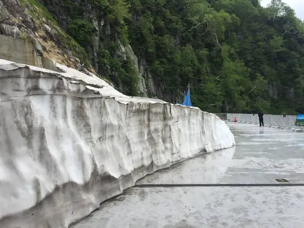 残雪