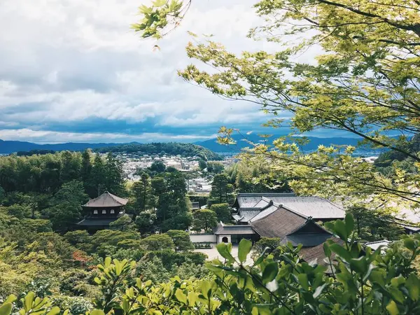 裏山からの景色