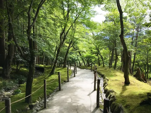 苔