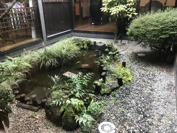 中庭の池