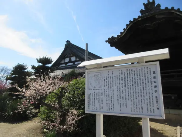 本願寺派の根本道場