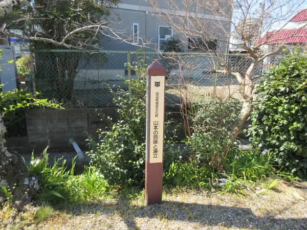 かぐや姫
