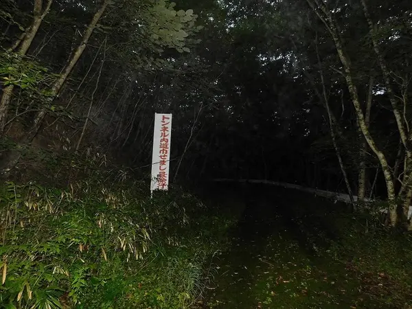 トンネル内道巾せまし最徐行