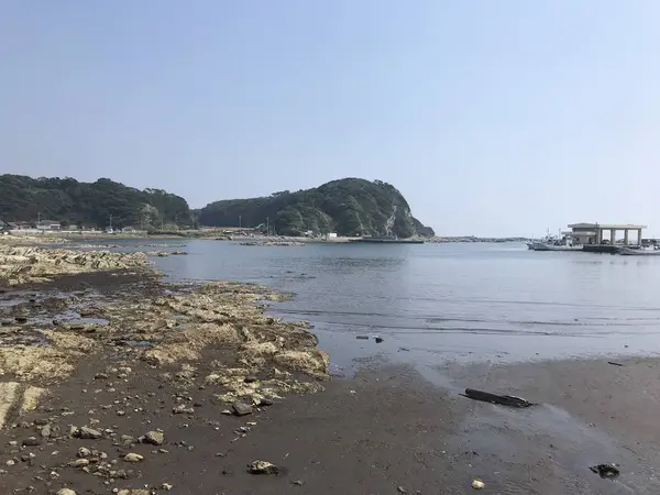 毘沙門湾にも干潟。