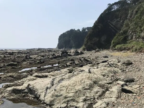 崖が垂直に切り立ってます。