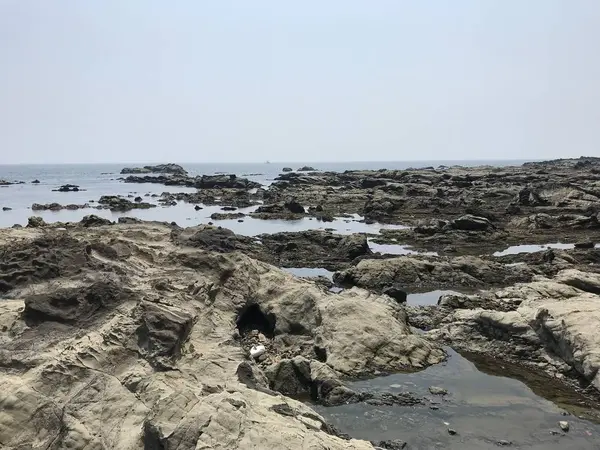 ゴジラの背ビレのような岩棚