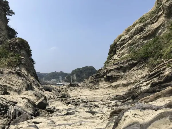 ヨットハーバー見えました♪