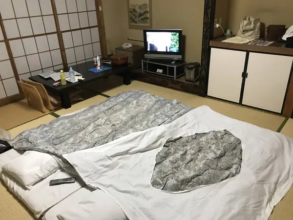 客室は広いです。