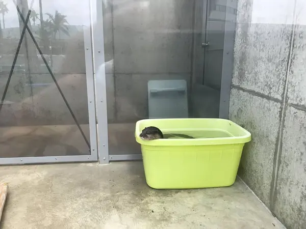 コツメ〜^_^