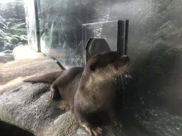 この子、活発な子でした。