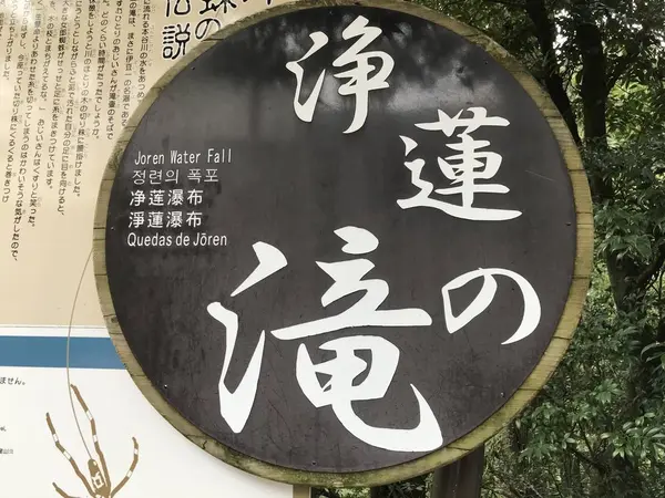 「浄蓮」の由来は？