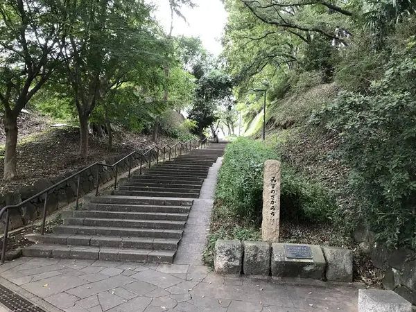 結構な段数です。