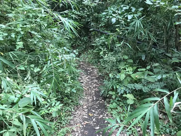 渓谷入口