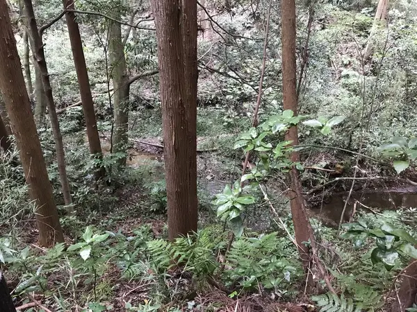 渓谷がチラホラ見えます。