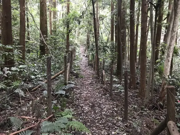 まだまだ、道は続く。